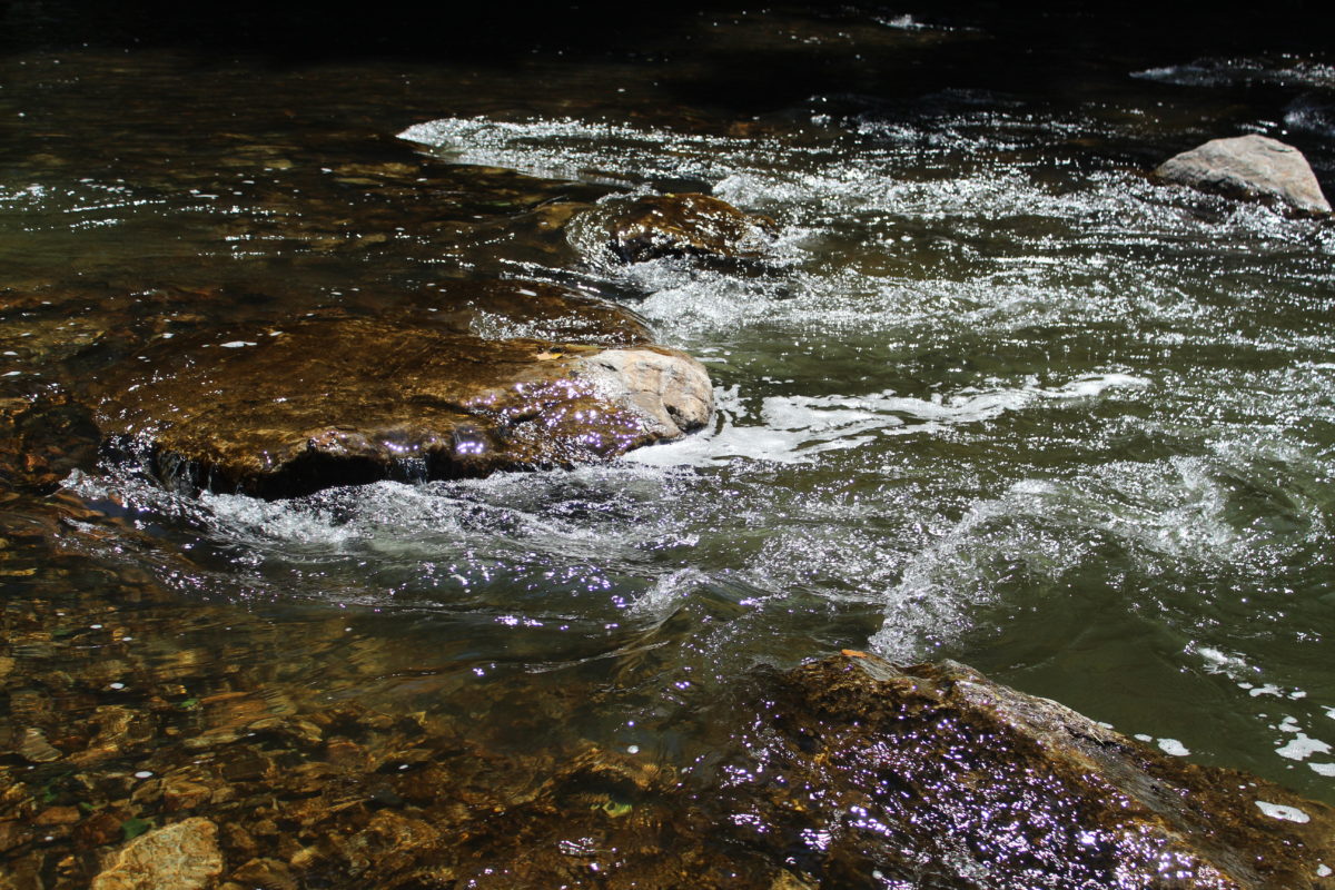 Trout Scapes restores Wild & Scenic Musconetcong River – Trout Scapes ...